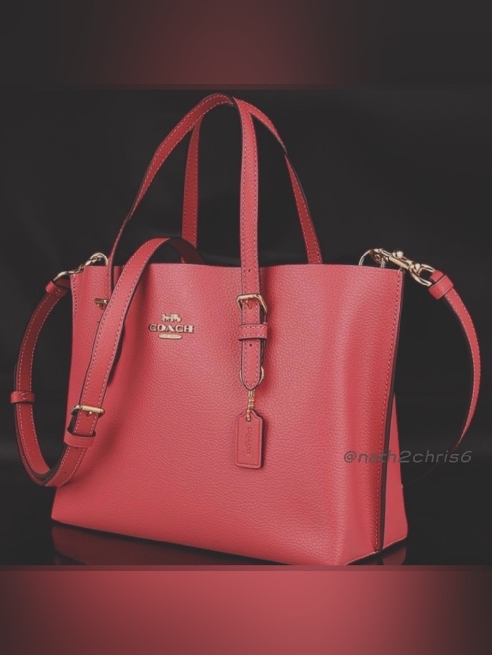 Coach Mollie 25 Tote Bag. EUC